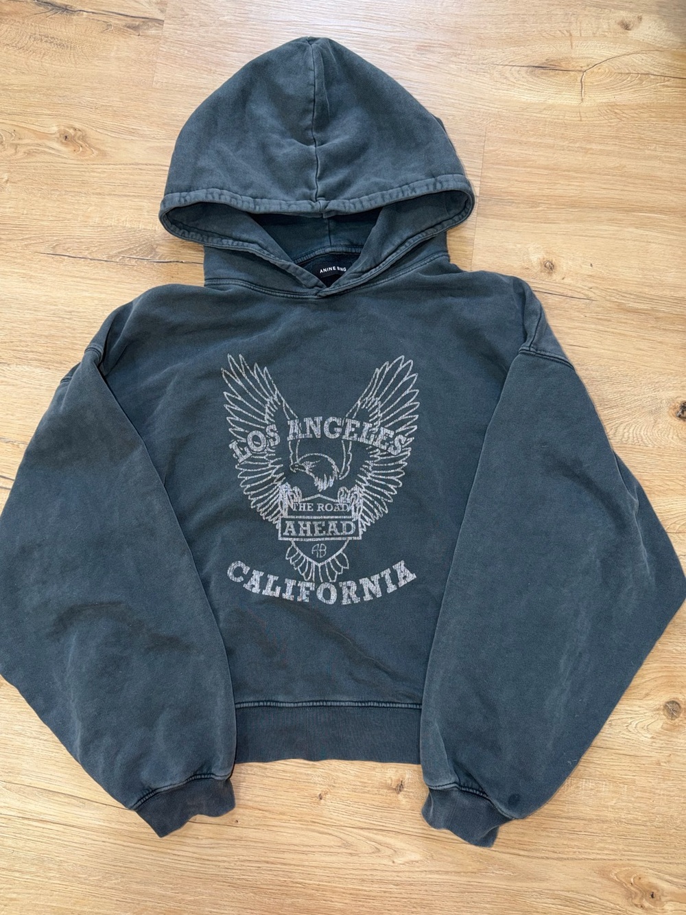 Anine Bing Alec Hoodie White Eagle in Washed Black